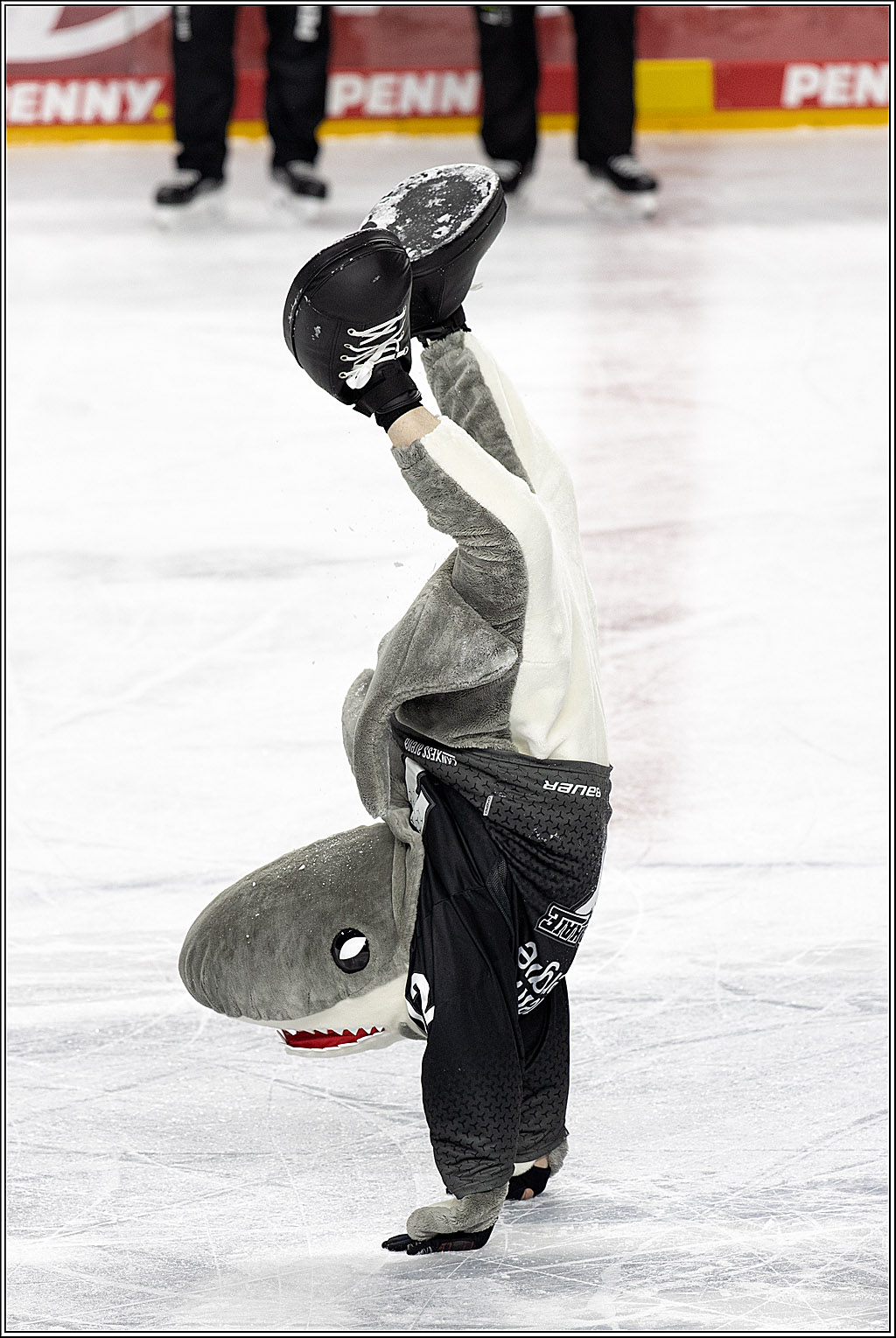 PENNY DEL;  Koelner Haie - Adler Mannheim; Koeln, 08.04.2021